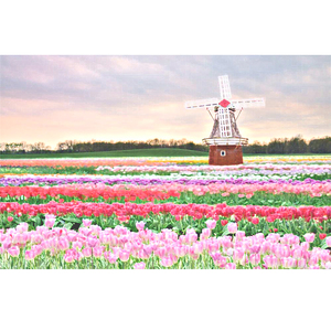 陈美惠的AV在线播放
