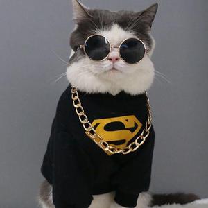 陈美惠的AV在线播放
